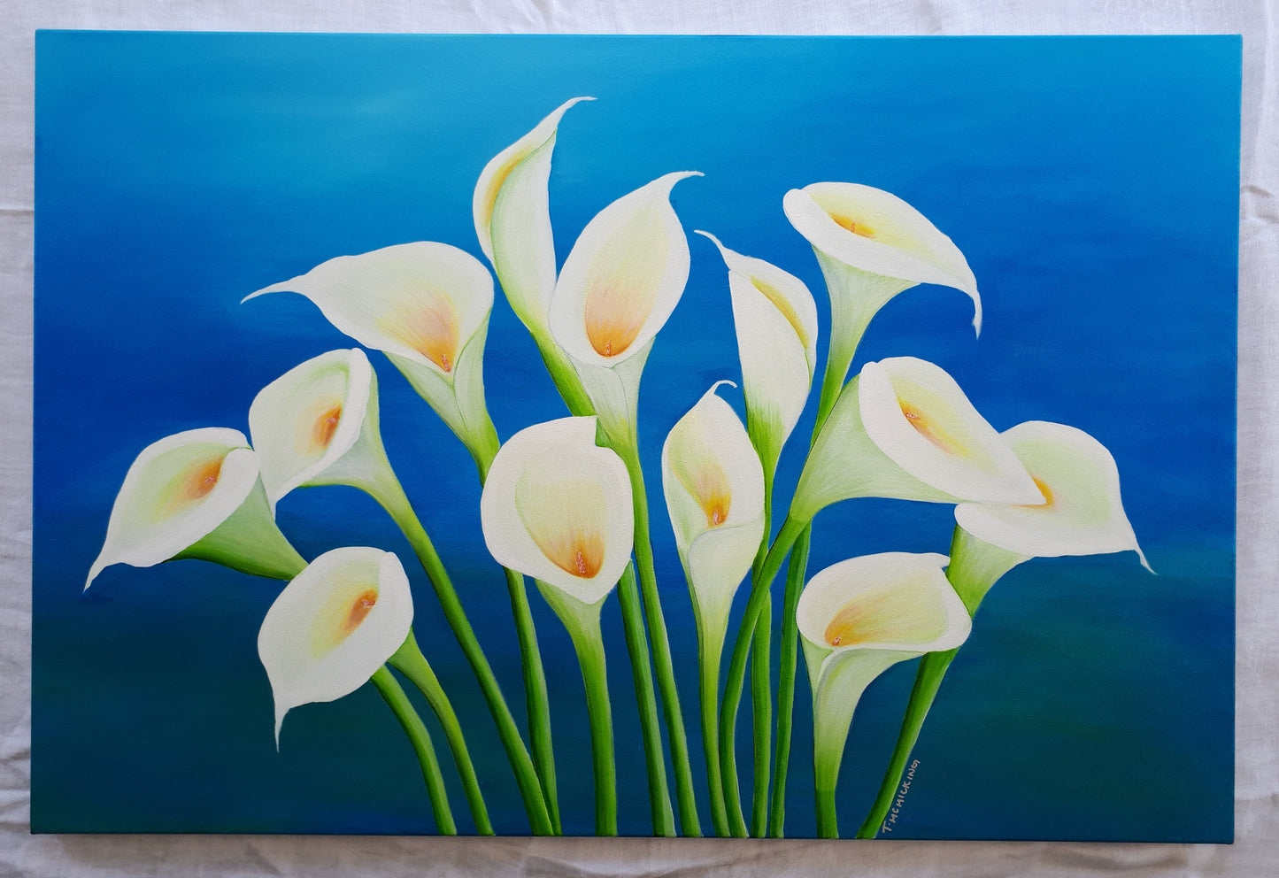 Calla lily - Tracy McMicking Art