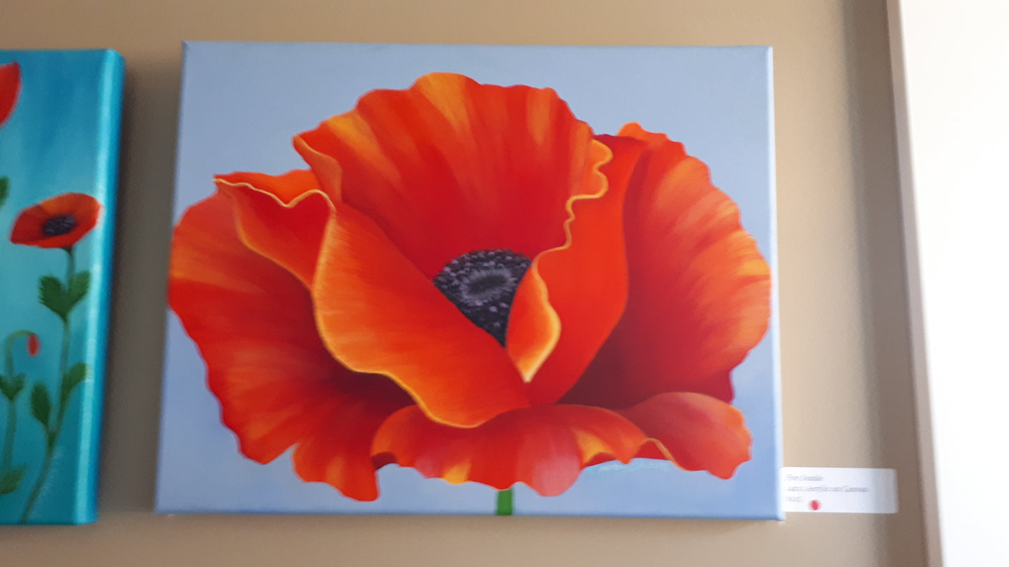 Poppy - Tracy McMicking Art