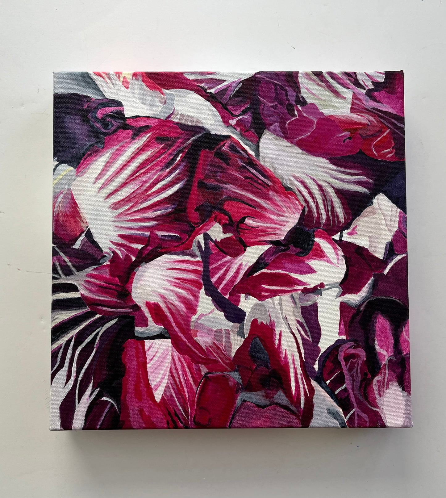 Radicchio - Tracy McMicking Art