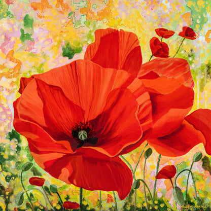 One Poppy