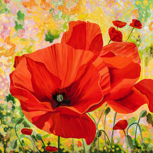 One Poppy