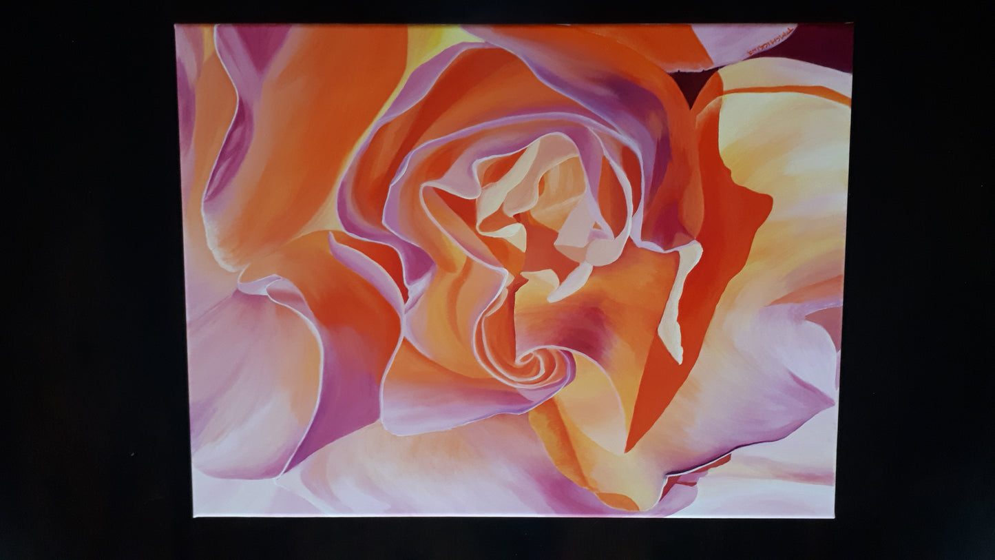 Single Rose - Tracy McMicking Art