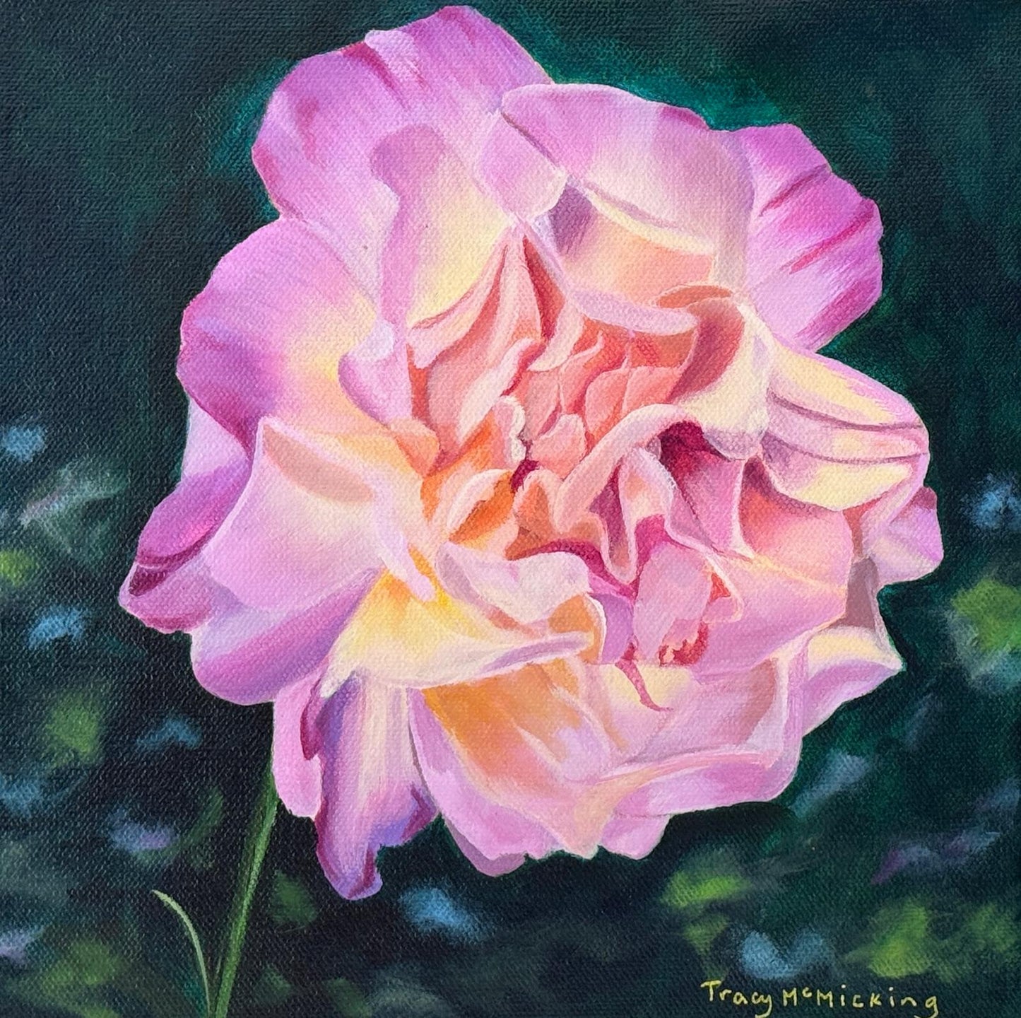 Peace Rose