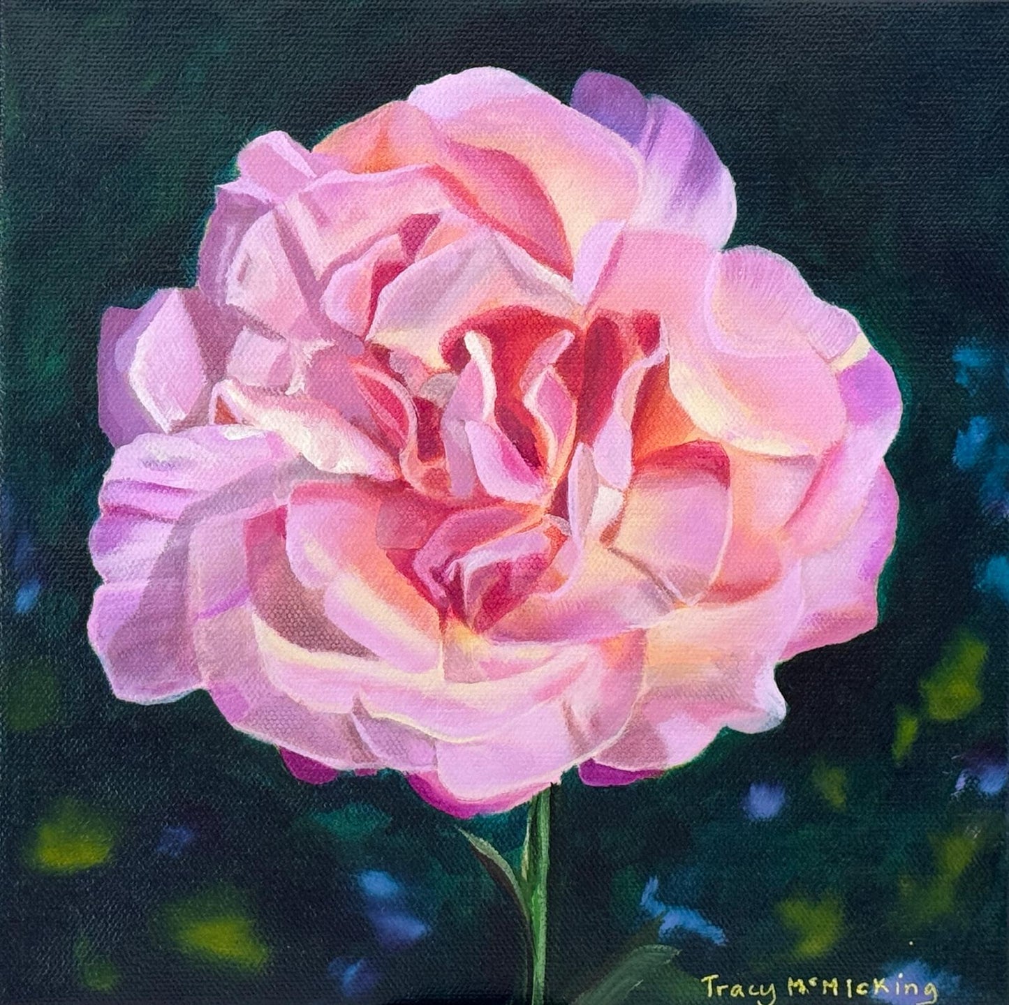 Peace Rose