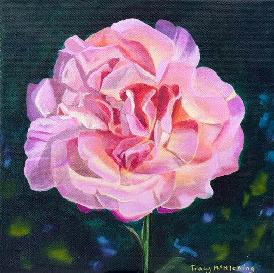Peace Rose